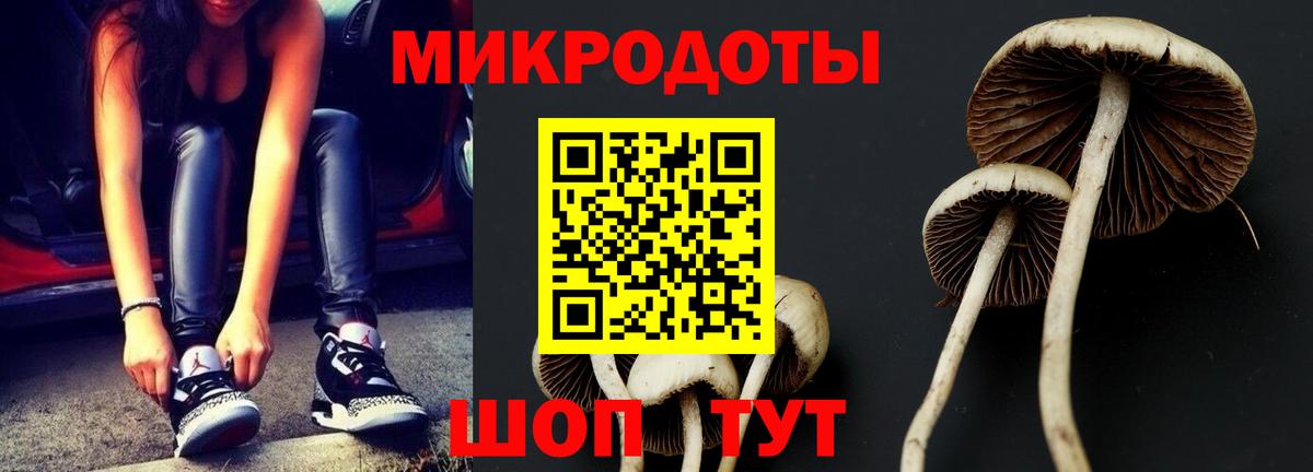 Галлюциногенные грибы MAGIC MUSHROOMS Шадринск